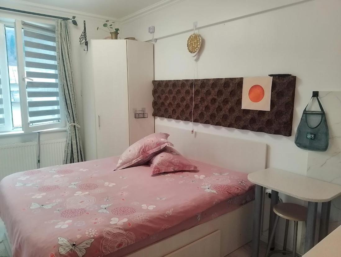 1 Small Studio, Central, Self Check In Синая Экстерьер фото